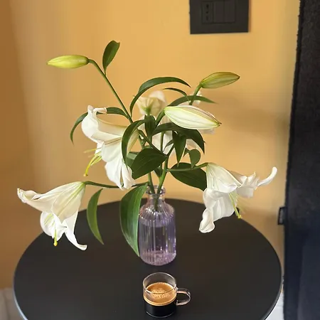 Daisy Cinque Terre לה ספציה